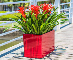 Products: Double Trough