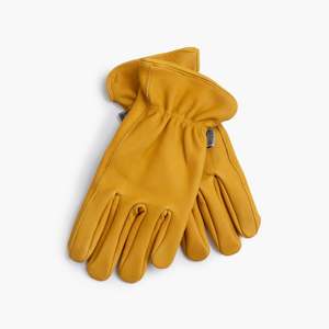 Barebones | Classic Work Glove