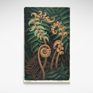 Springing Fern, Print