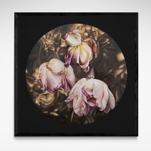 Limited Edition: Strung Up To Dry, Framed Limited Edition Print