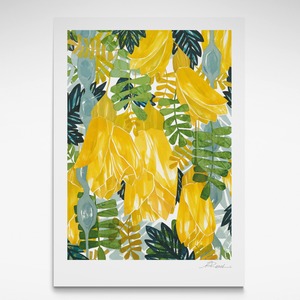Kowhai, Print
