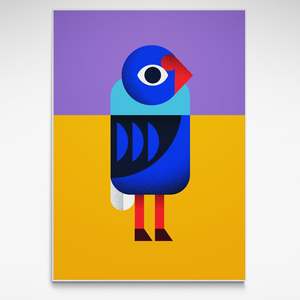Pūkeko, Print