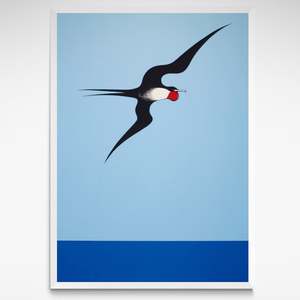 Frigate Bird, Print