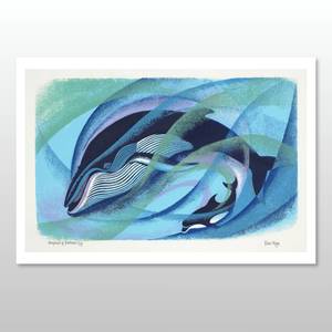 Te Papa Fine Art Prints: Humpback and Bottlenose, Print