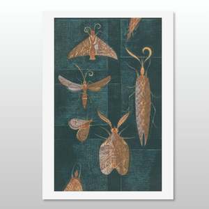 Te Papa Fine Art Prints: Moths on the Window, Print