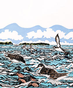 Products: Art by Vivien Davimes - Shearwaters/Pakaha on the Hauraki Gulf 1/12