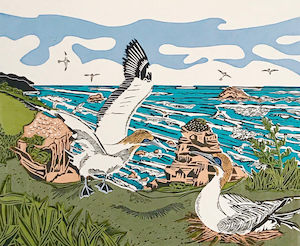 Products: Art by Vivien Davimes - Gannets/Takapu at Muriwai A/P