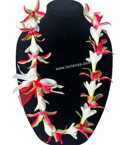 Ula Necklaces: ARIA Shell Necklace