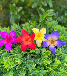 Seis And Flower Hair Clips: LALELEI Large Plumeria