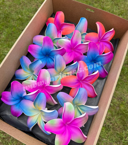 Seis And Flower Hair Clips: TROPICAL Frangipani