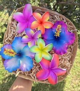 Seis And Flower Hair Clips: ISLAND BLOOM BASKET