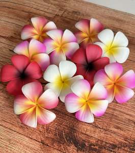 PUA SAMOA