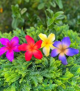 LALELEI Large Plumeria