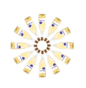 Reserve Feijoa Sparkling Wine Case of 12 Bottles - Lothlorien Winery Ltd-shop-fe&hellip;