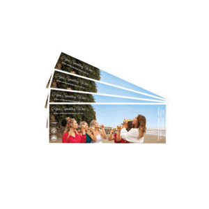 Feijoa Lounge tours experience Lothlorien winery wine tasting - Lothlorien Winer&hellip;