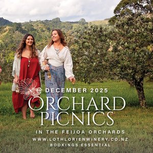 Products: Orchard Picnics December 2025 - Lothlorien Winery Ltd-shop-feijoa-wine-sparkling