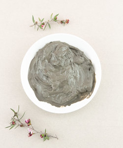 Products: Dead Sea Mineral Mud - Lotus Oils New Zealand