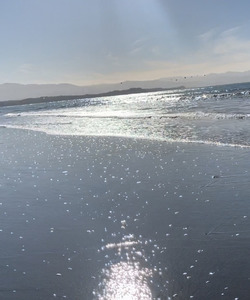 Candy Floss Lip Safe Fragrance - 100ml