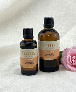 Organic Infused Arnica - 1 Litre