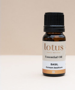 Products: Basil - Ocimum basilicum