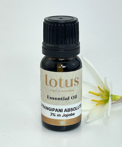 Products: Frangipani Absolute 3% in Jojoba Oil - CLEARANCE - Lotus Oils New Zealand