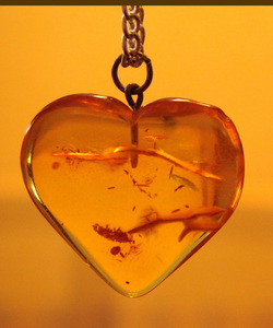 Baby Powder Fragrance Oil - 100ml