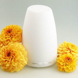 Products: Electric Serene Mist Diffuser