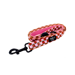Pet: Mod Madness: DOG LEASH