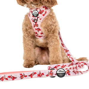 The Little Mermaid - Sebastian: Dog Leash