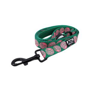 Happee Birthdae Harry: Dog Leash