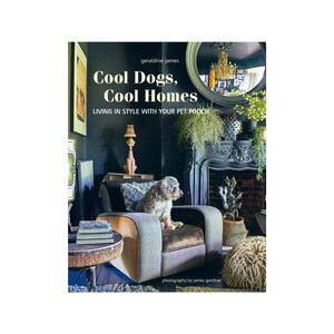 Dog Accessories: Cool Dogs, Cool Homes