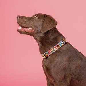 Dog Collars: As Sweet as Garfield: Dog Collar