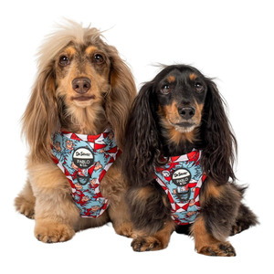 Dog Harness: Dr. Seuss' Thing 1 & Thing 2: Adjustable Harness