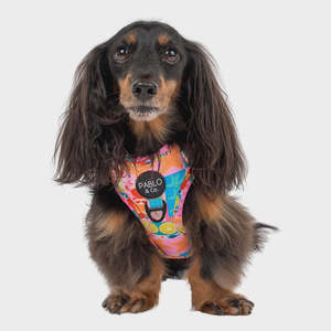 Dog Harness: Mykonos: Adjustable Harness