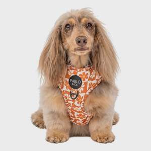 Retro Dazie: Adjustable Harness