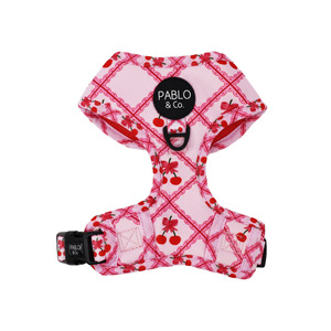 Pet 1: Ma chérie: Adjustable Harness