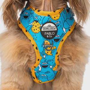 Harnesses: Cookie Monster: Adjustable Harness