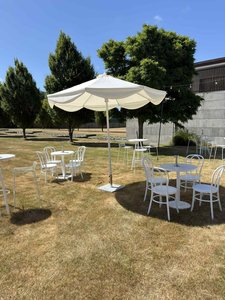 White Curve Umbrella - Loula – Wedding & Event Hire