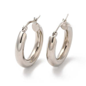 Huggies Stainless Steel Hoops: Stainless Steel Hoop Earrings