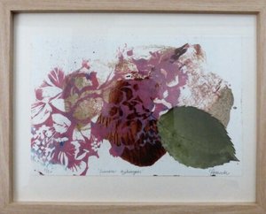 Summer Hydrangeas 3