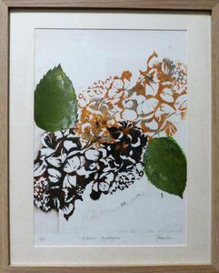 Autumn hydrangeas