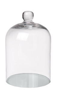 Glassware: Small Glass Dome