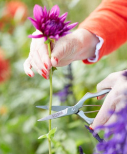 Garden: Precision Secateurs - Sophie Conran