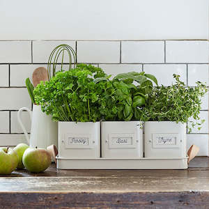 Garden: Herb Pots with Leather Handled Tray - Set of 3