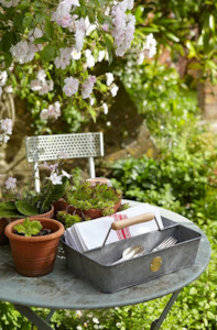 Garden: Galvanized Trug - Sophie Conrad