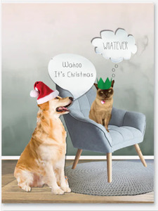 iCandy Card - Let’s Eat, Drink and Be Merry!!!