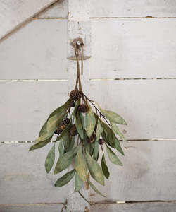 Gifting: Eucalyptus & Brown Berry Wood Branch