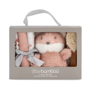 Gifts For Baby: Little Bamboo 5 Piece Gift Set