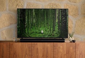 Products: Sonos Arc Soundbar - (Black/White) - Need a Nerd
