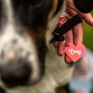 Personalised Pet Tag
